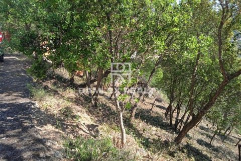 Tontti myytävänä Calonge, Girona, Espanja , No. 184624 - kuva 7