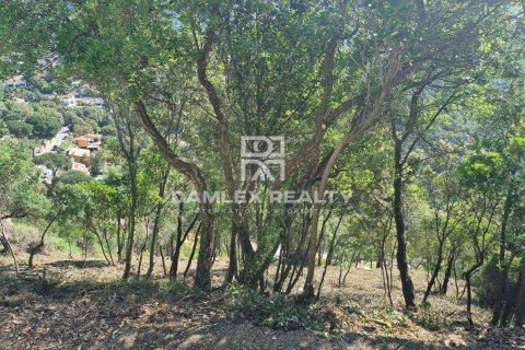 Tontti myytävänä Calonge, Girona, Espanja , No. 184624 - kuva 4