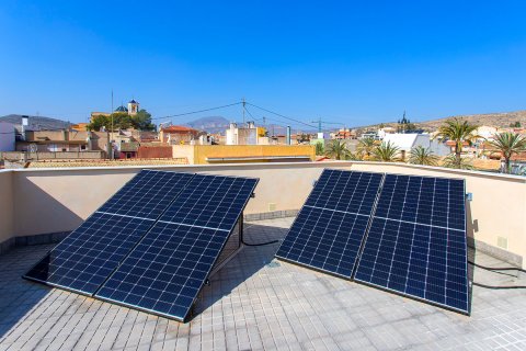 Продажа пентхауса в Хондон де Лас Ньевес, Аликанте, Испания 2 спальни,  №156447 - фото 24