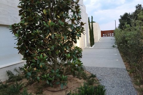 Villa in vendita a Platja D'aro, Girona, Spagna 6 camere da letto, 932 mq. N° 156056 - foto 13