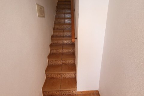 Huoneisto myytävänä Torrevieja, Alicante, Espanja, 3 makuuhuonetta, 70 m2 No. 145230 - kuva 17