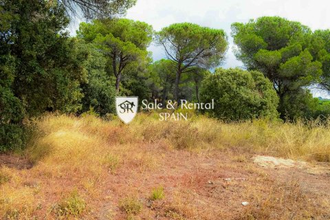 Talo myytävänä Sant Andreu de Llavaneres, Barcelona, Espanja, 5 makuuhuonetta, 390 m2 No. 166482 - kuva 19