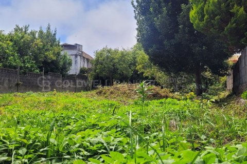 Terreno in vendita a Vigo, Pontevedra, Spagna 1306 mq. N° 160264 - foto 10