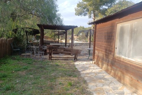 Finca in vendita a Gea Y Truyols, Murcia, Spagna 3 camere da letto, 150 mq. N° 146766 - foto 12