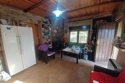 Finca in vendita a Gea Y Truyols, Murcia, Spagna 3 camere da letto, 150 mq. N° 146766 - foto 19