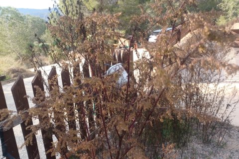 Finca in vendita a Gea Y Truyols, Murcia, Spagna 3 camere da letto, 150 mq. N° 146766 - foto 17