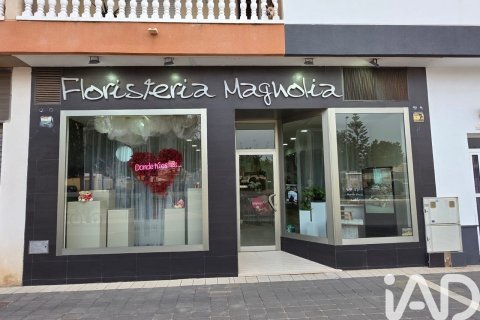 Gewerbeimmobilien in Torre-Pacheco, Murcia, Spanien 2 Schlafzimmer, 137 m2 Nr. 185163