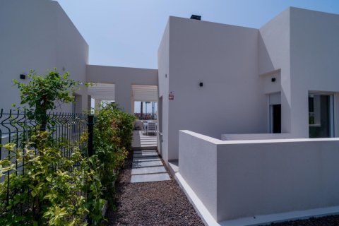 Villa in vendita a Algorfa, Alicante, Spagna 3 camere da letto, 342 mq. N° 144340 - foto 8