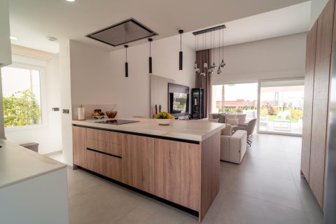 Villa in vendita a Algorfa, Alicante, Spagna 3 camere da letto, 342 mq. N° 144340 - foto 18