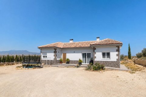 Huvila Pinoso, Alicante, Espanja 4 makuuhuonetta, 150 m2 No. 192311