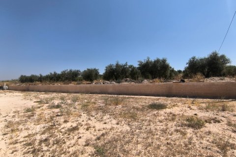 Huvila myytävänä Pinoso, Alicante, Espanja, 4 makuuhuonetta, 150 m2 No. 192311 - kuva 15