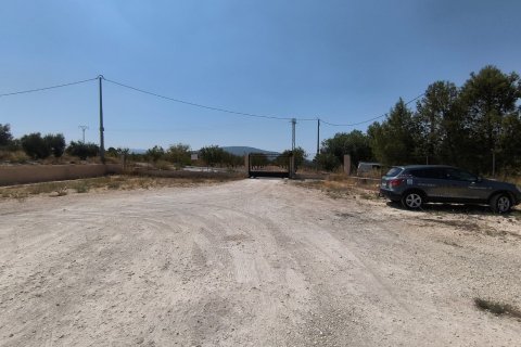 Huvila myytävänä Pinoso, Alicante, Espanja, 4 makuuhuonetta, 150 m2 No. 192311 - kuva 16