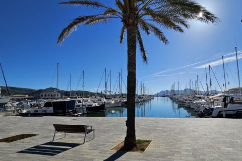 Apartment à louer Port De Pollenca, Mallorca, Espagne, 2 chambres, 110 m2 No. 112004 - photo 16
