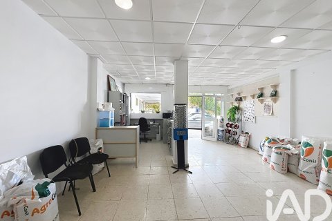 Liikekiinteistö myytävänä Tarifa, Cadiz, Espanja , 67 m2 No. 193530 - kuva 7
