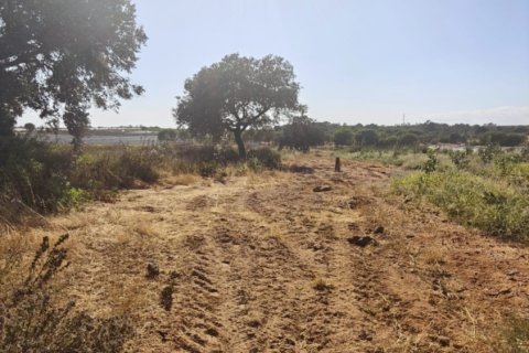 Terreno in vendita a Villablanca, Huelva, Spagna 9332 mq. N° 185572 - foto 6