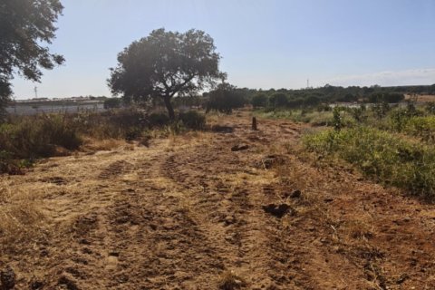 Terreno in vendita a Villablanca, Huelva, Spagna 9332 mq. N° 185572 - foto 5