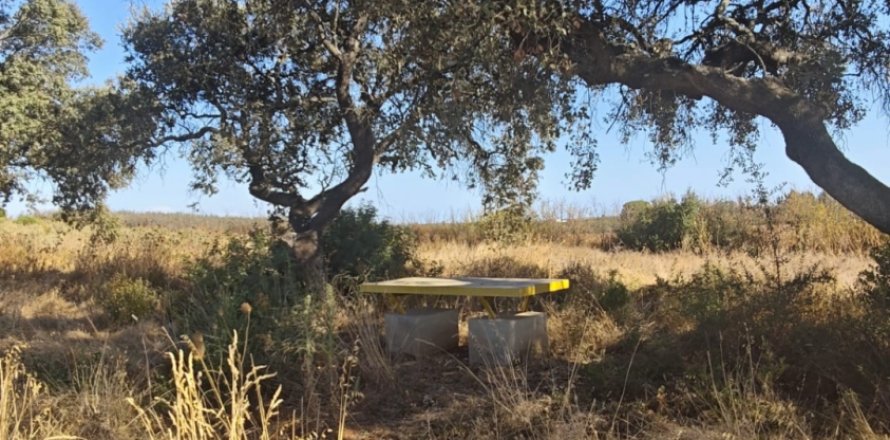 Terreno a Villablanca, Huelva, Spagna 9332 mq. N° 185572
