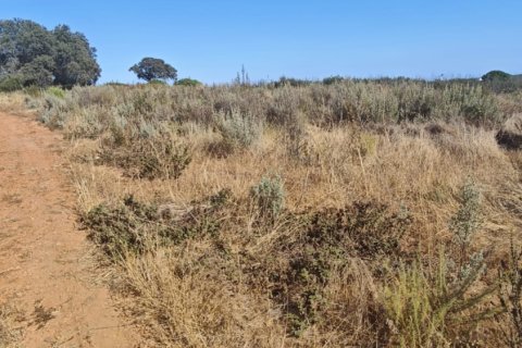 Terreno in vendita a Villablanca, Huelva, Spagna 9332 mq. N° 185572 - foto 12