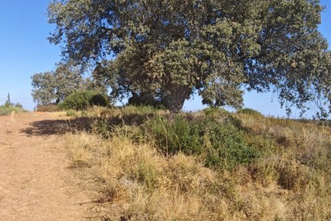 Terreno in vendita a Villablanca, Huelva, Spagna 9332 mq. N° 185572 - foto 13