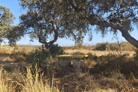Terreno in vendita a Villablanca, Huelva, Spagna 9332 mq. N° 185572 - foto 3
