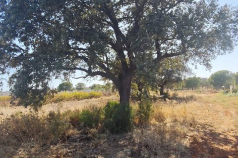 Terreno in vendita a Villablanca, Huelva, Spagna 9332 mq. N° 185572 - foto 2