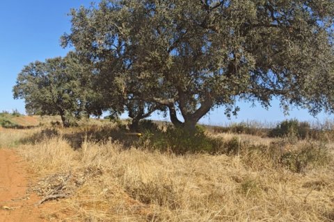 Terreno in vendita a Villablanca, Huelva, Spagna 9332 mq. N° 185572 - foto 14