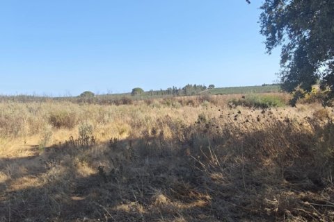 Terreno in vendita a Villablanca, Huelva, Spagna 9332 mq. N° 185572 - foto 11