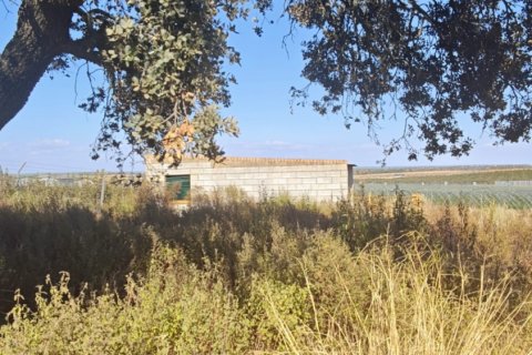 Terreno in vendita a Villablanca, Huelva, Spagna 9332 mq. N° 185572 - foto 9
