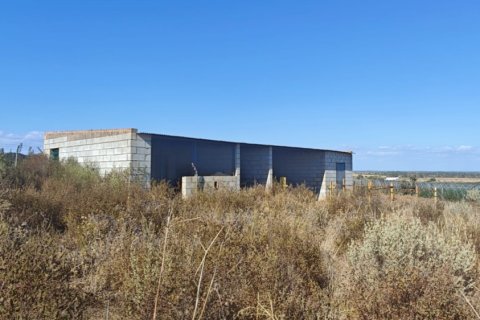 Terreno in vendita a Villablanca, Huelva, Spagna 9332 mq. N° 185572 - foto 4