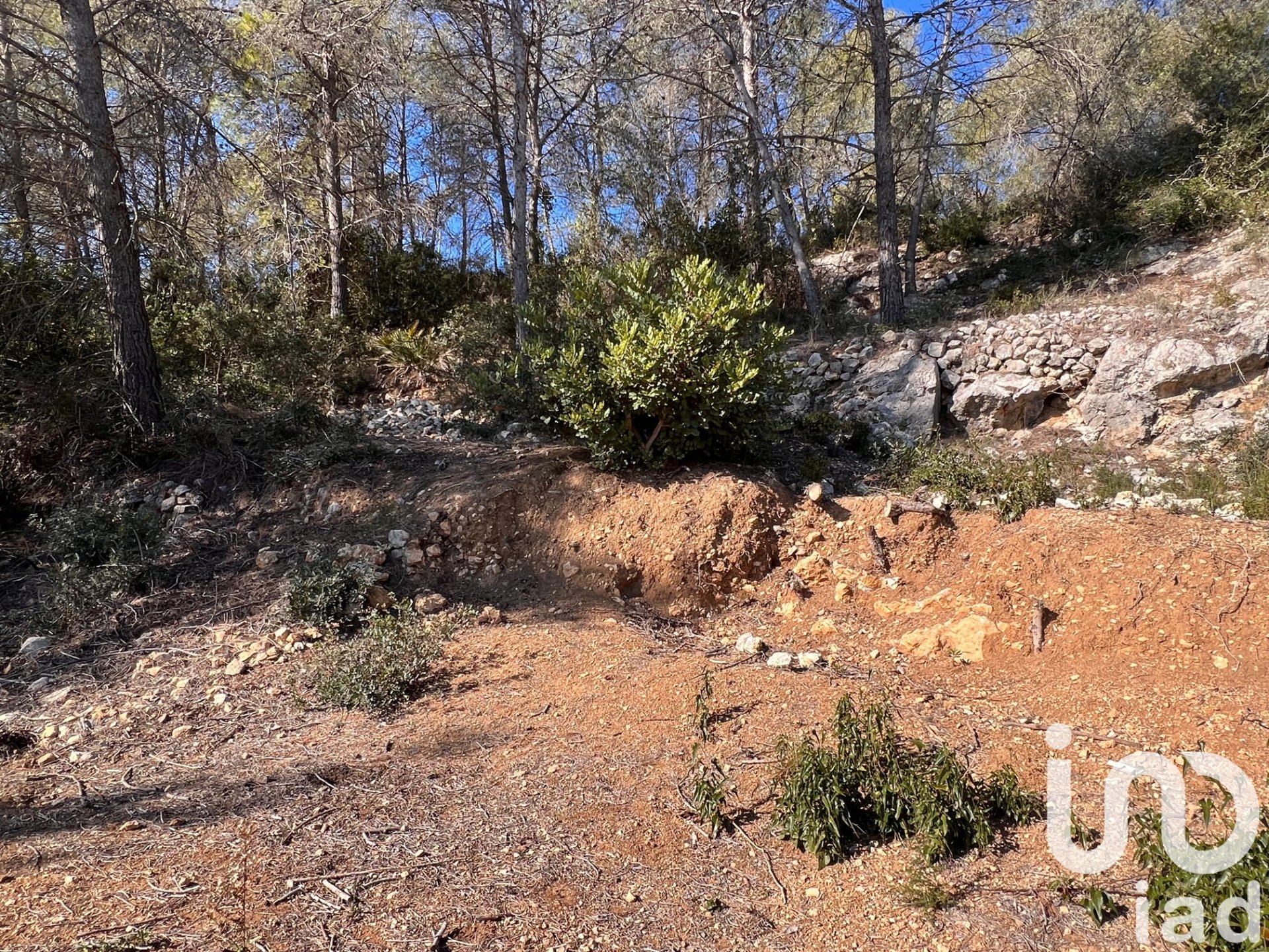 Terreno a Olivella, Barcelona, Spagna 780 mq. N° 185574