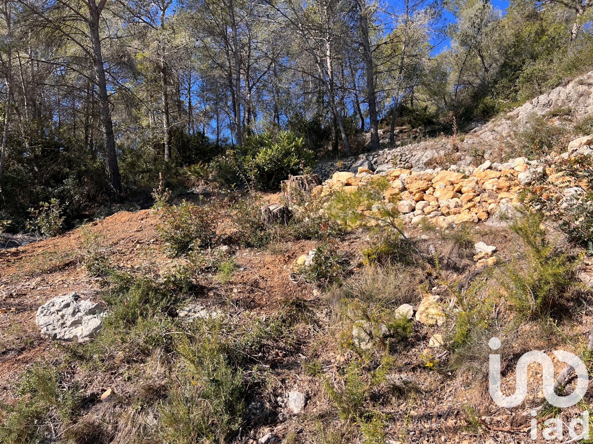 Terreno a Olivella, Barcelona, Spagna 780 mq. N° 185574