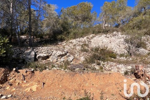 Zemes gabals pārdošanā Olivella, Barcelona, Spānijā 780 m2 Nr. 185574 - attēls 4