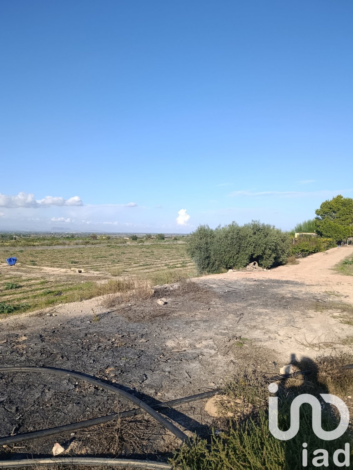 Land plot à Elche, Alicante, Espagne 28329 m2 No. 185575
