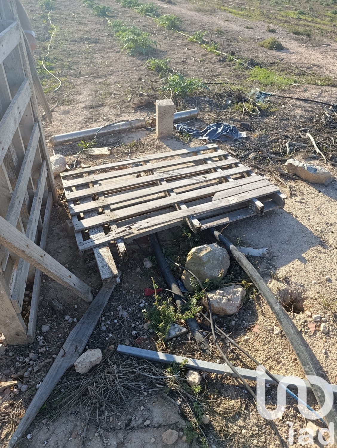 Land plot à Elche, Alicante, Espagne 28329 m2 No. 185575