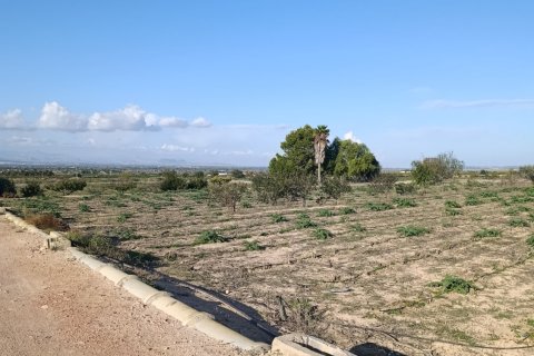 Terreno a Elche, Alicante, Spagna 28329 mq. N° 185575