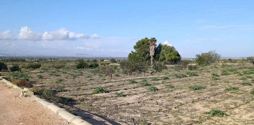 Land plot à Elche, Alicante, Espagne 28329 m2 No. 185575