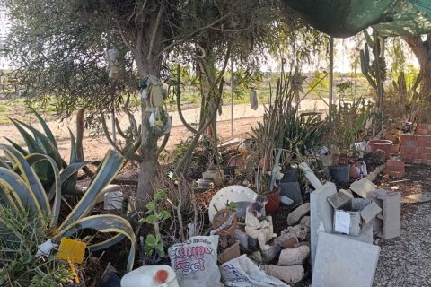 Land plot à vendre à Elche, Alicante, Espagne, 28329 m2 No. 185575 - photo 30