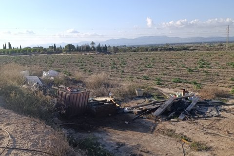 Land plot à vendre à Elche, Alicante, Espagne, 28329 m2 No. 185575 - photo 17