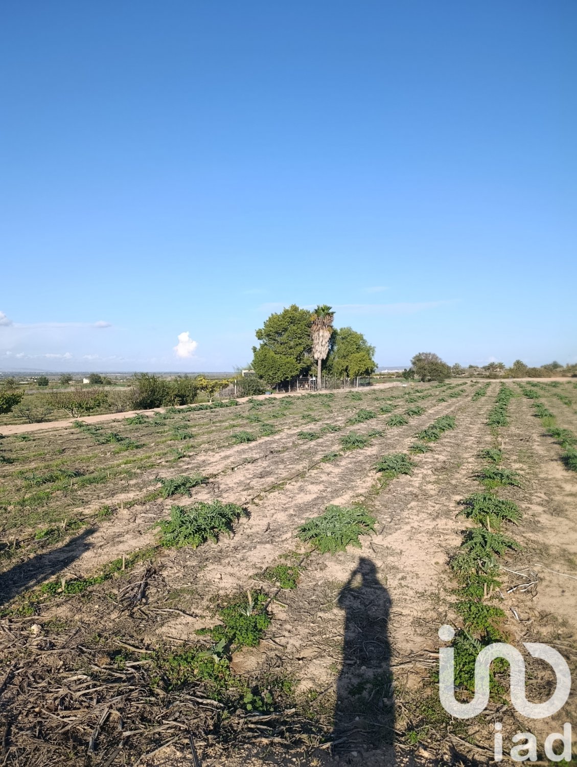 Land plot à Elche, Alicante, Espagne 28329 m2 No. 185575