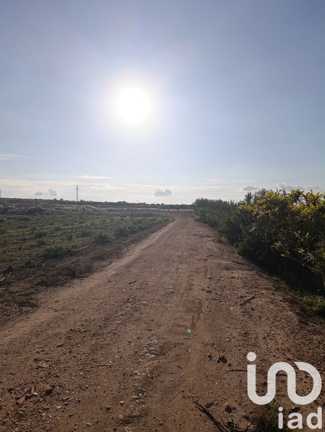 Land plot à Elche, Alicante, Espagne 28329 m2 No. 185575