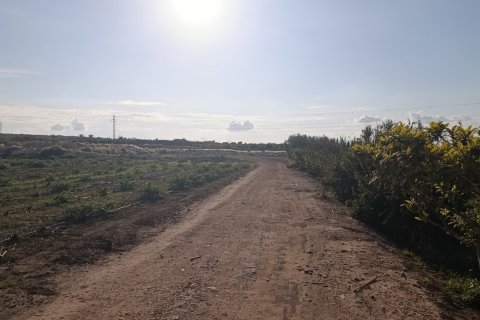 Land plot à vendre à Elche, Alicante, Espagne, 28329 m2 No. 185575 - photo 24