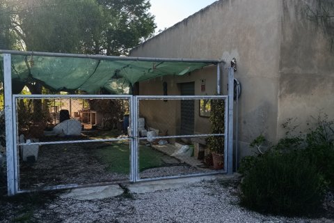 Land plot à vendre à Elche, Alicante, Espagne, 28329 m2 No. 185575 - photo 26