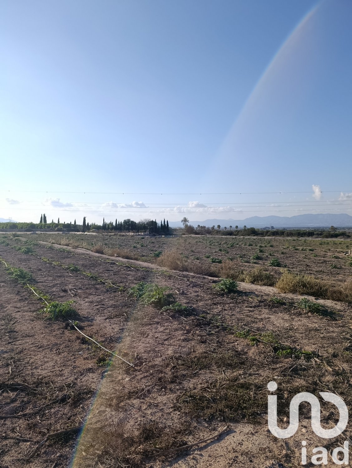 Land plot à Elche, Alicante, Espagne 28329 m2 No. 185575