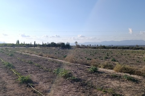 Land plot à vendre à Elche, Alicante, Espagne, 28329 m2 No. 185575 - photo 11