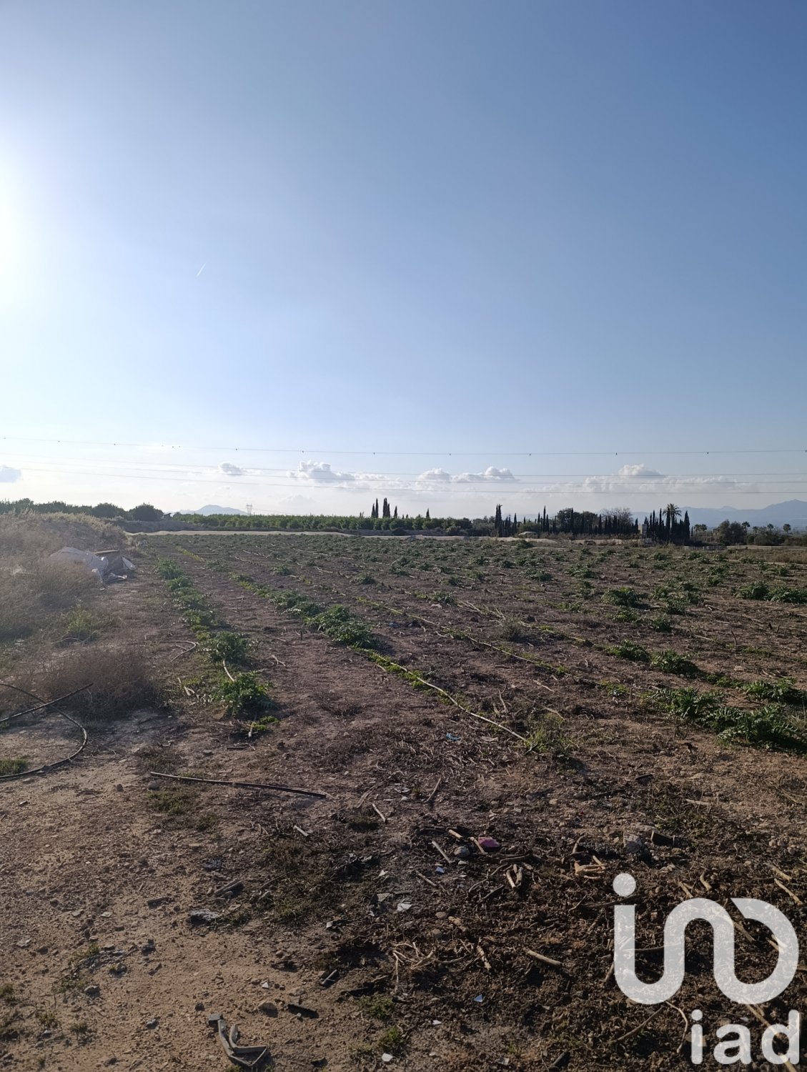 Land plot à Elche, Alicante, Espagne 28329 m2 No. 185575