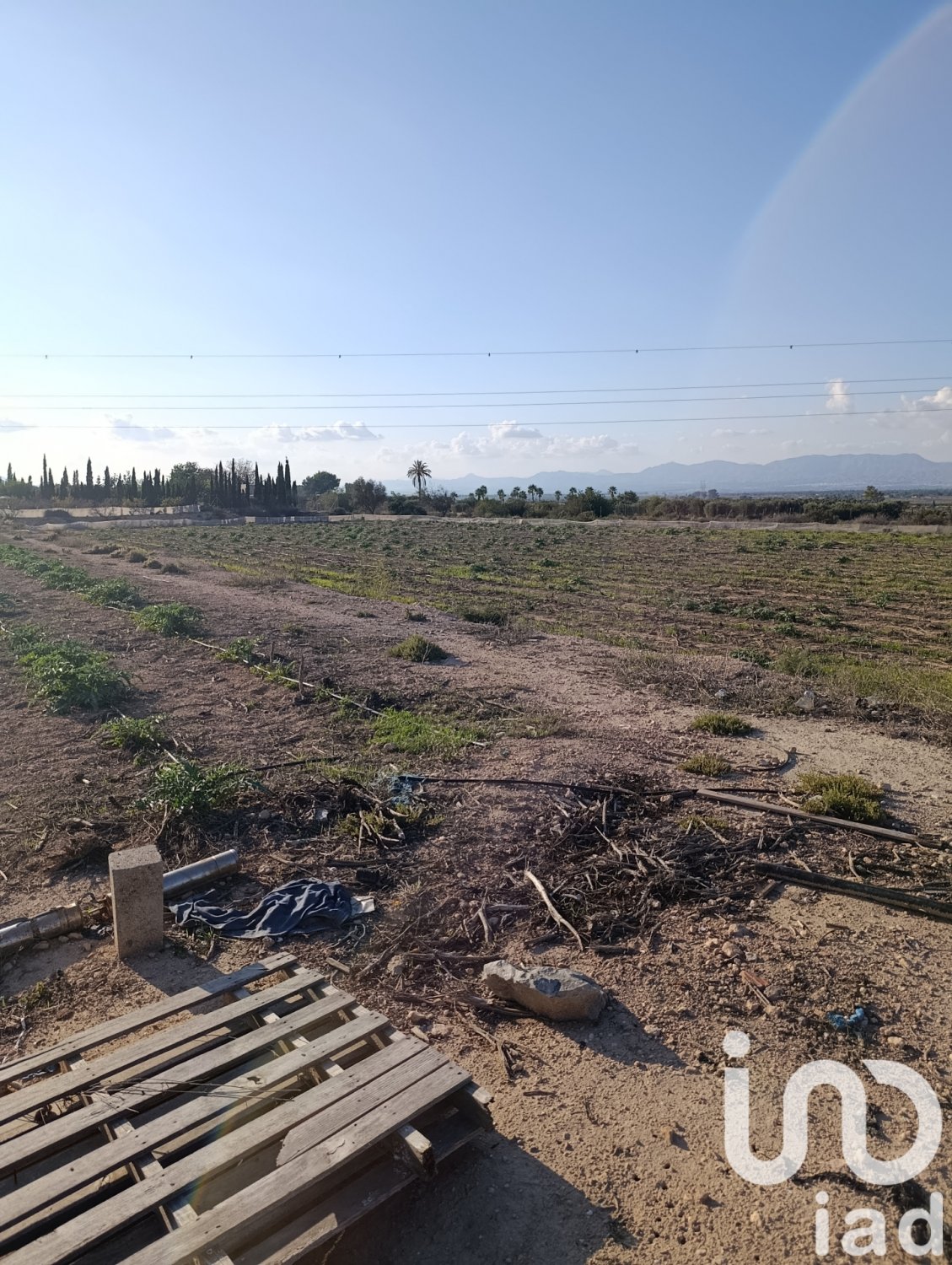 Land plot à Elche, Alicante, Espagne 28329 m2 No. 185575