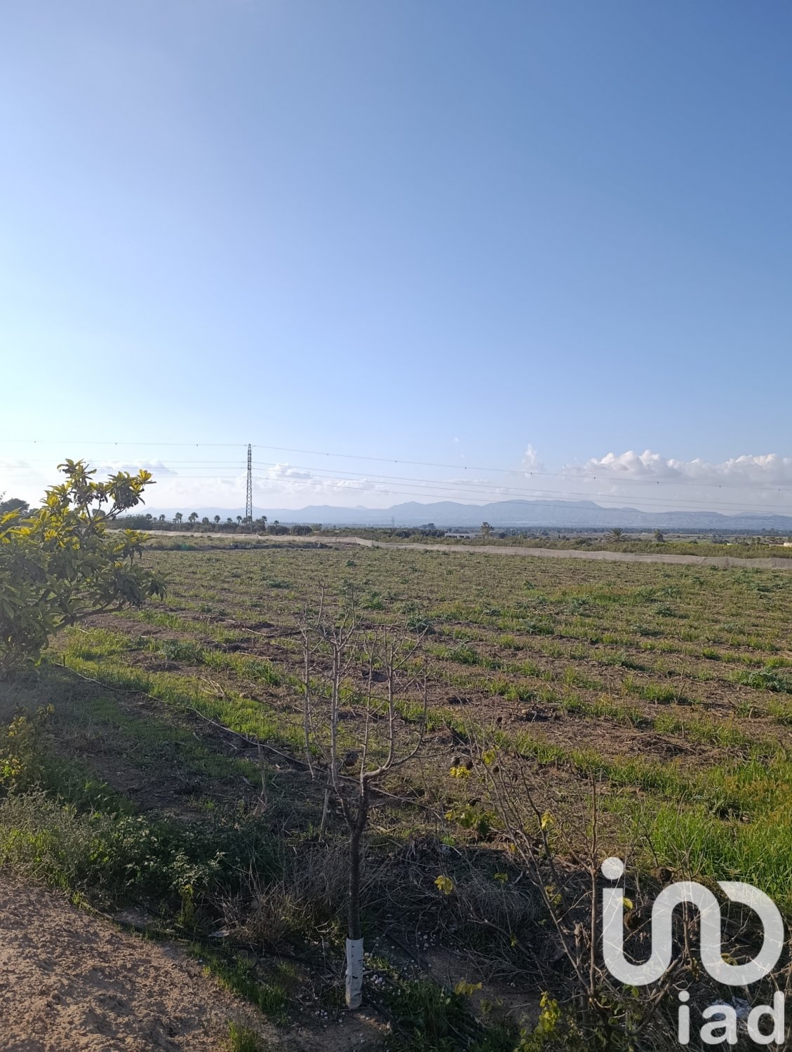 Land plot à Elche, Alicante, Espagne 28329 m2 No. 185575