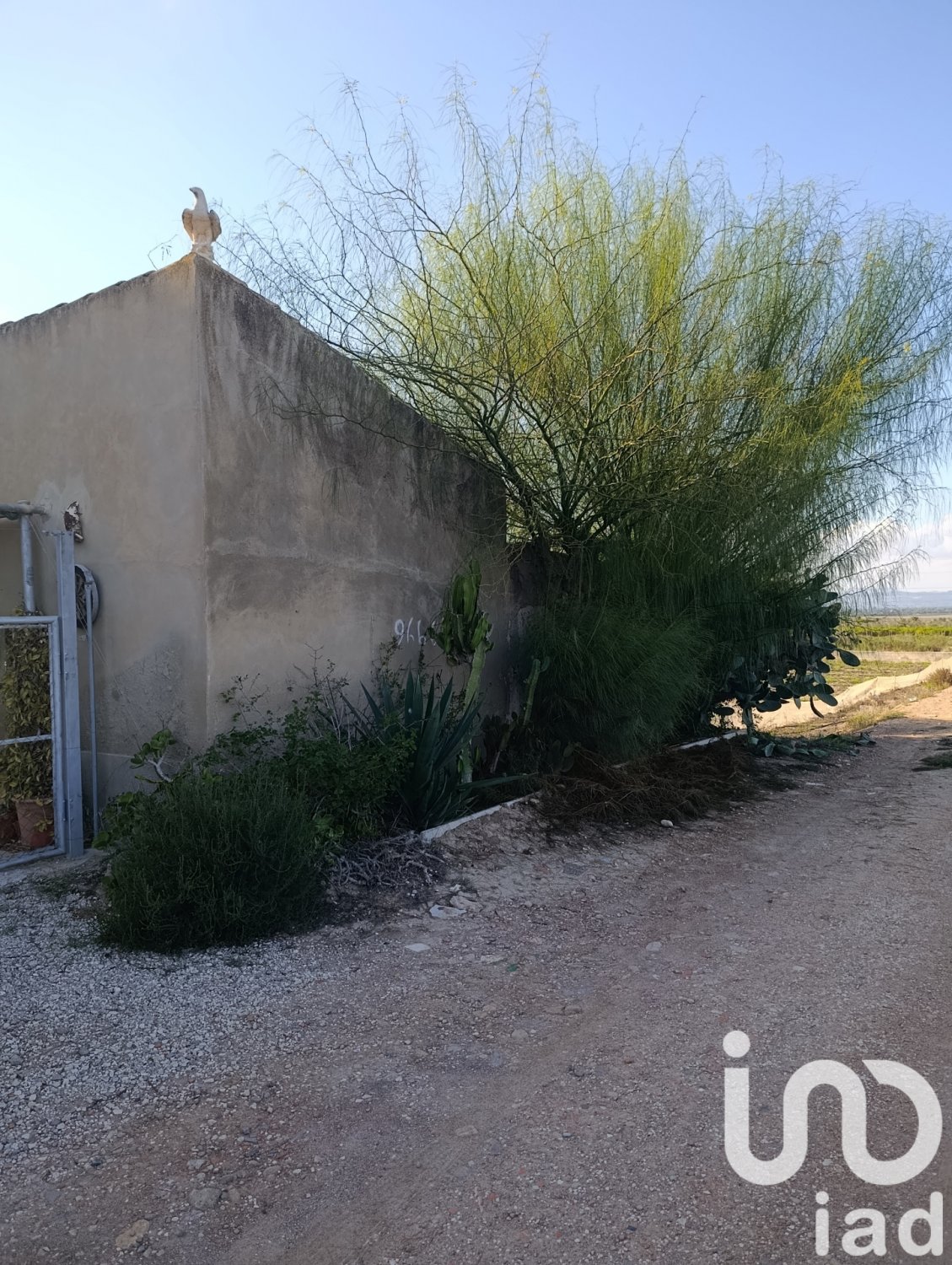 Land plot à Elche, Alicante, Espagne 28329 m2 No. 185575