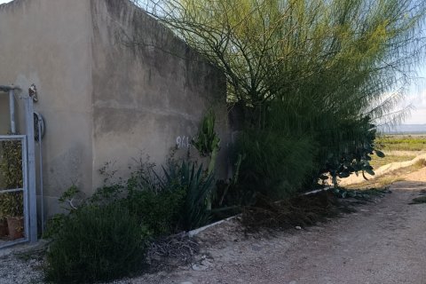 Land plot à vendre à Elche, Alicante, Espagne, 28329 m2 No. 185575 - photo 28