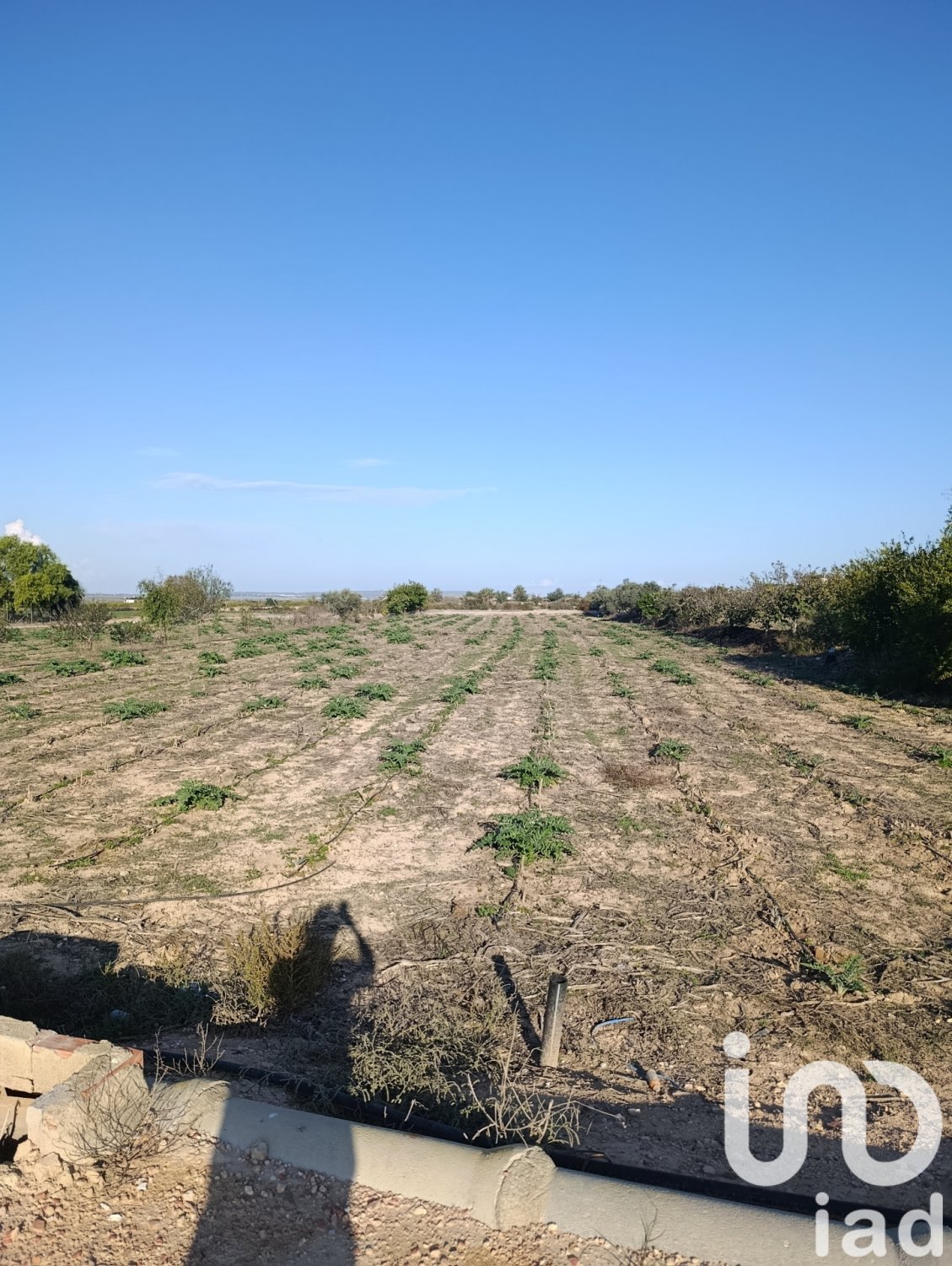 Land plot à Elche, Alicante, Espagne 28329 m2 No. 185575